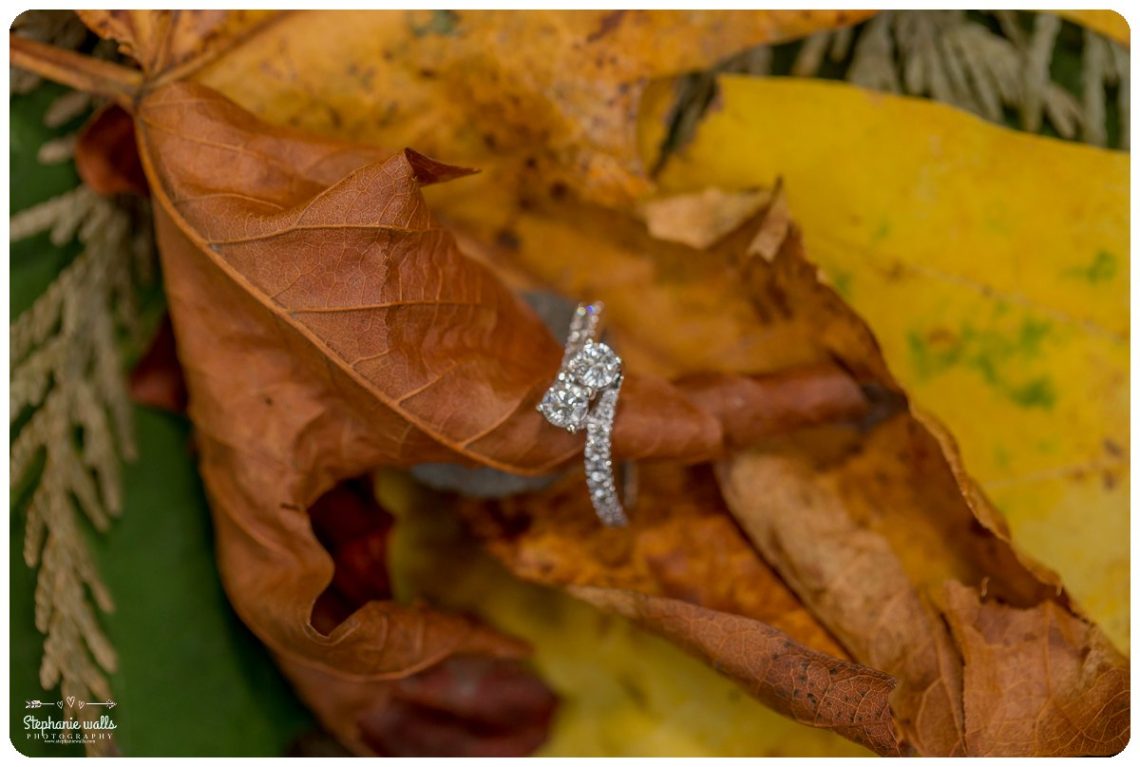 2017 01 24 0008 Decided on Forever | Engagement Session at Jennings Memorial Park, Wa