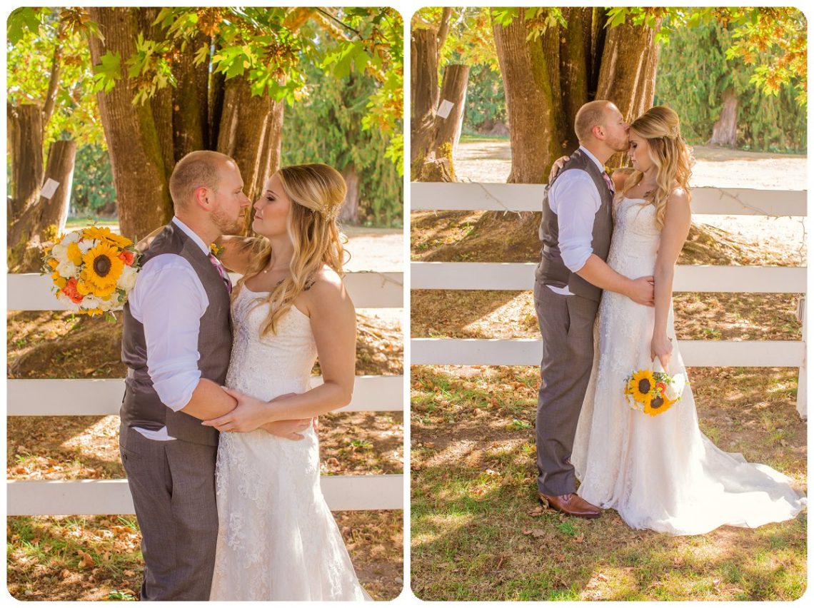 2017 02 02 0011 Sunflowers happy flower | Filigree Farm Buckley Wedding