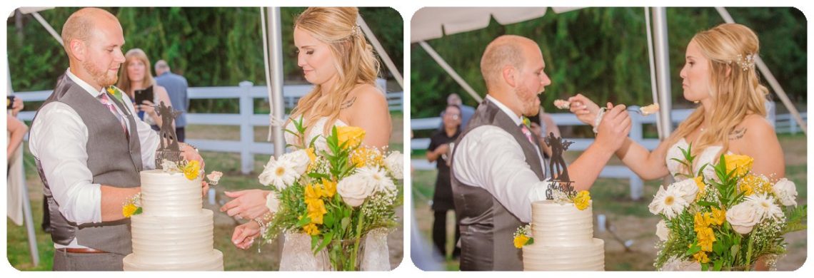 2017 02 02 0050 Sunflowers happy flower | Filigree Farm Buckley Wedding