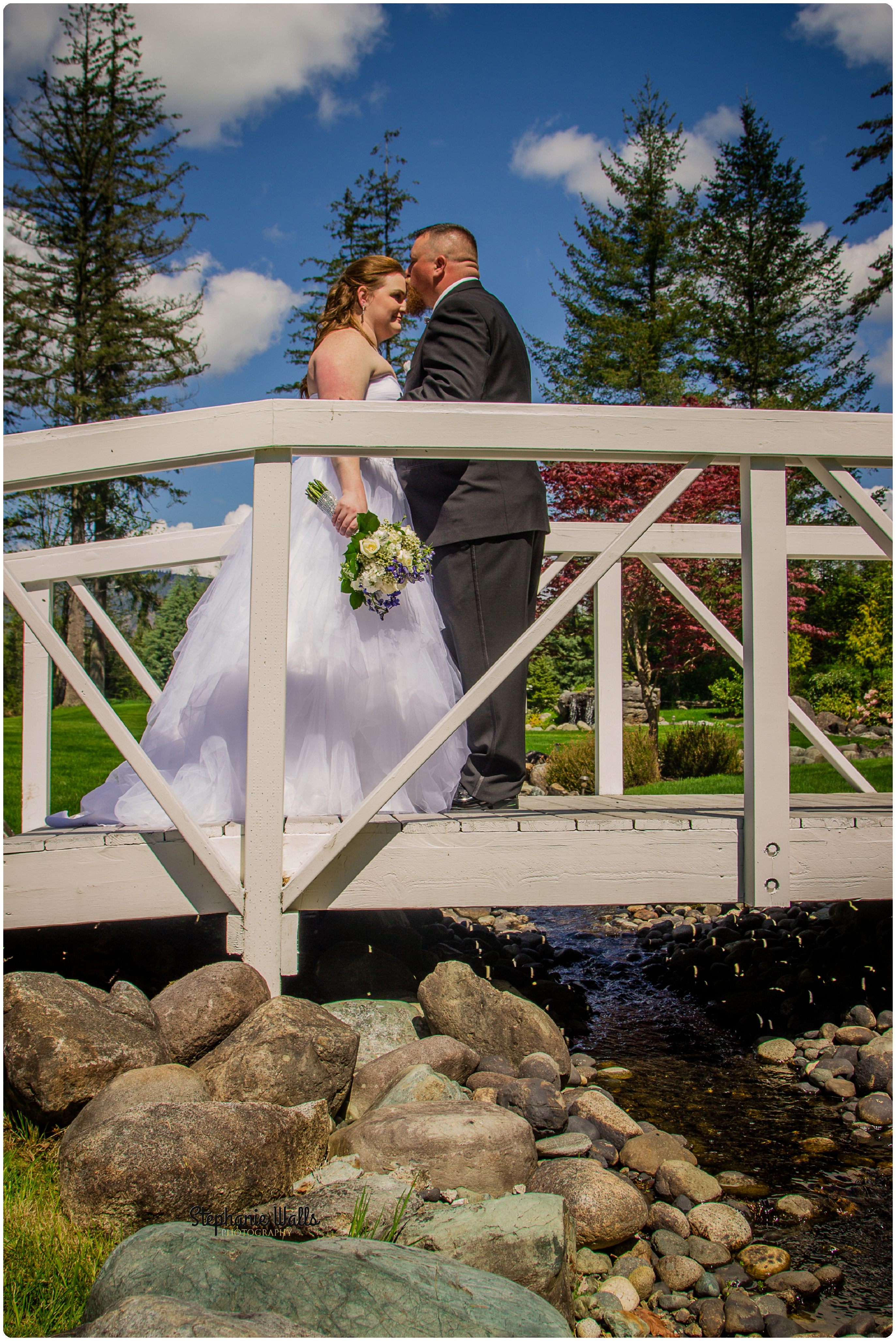 McCaslin Wedding058 1 Blue Skys ahead | Natures Connection Place | Arlington Wedding Photographer