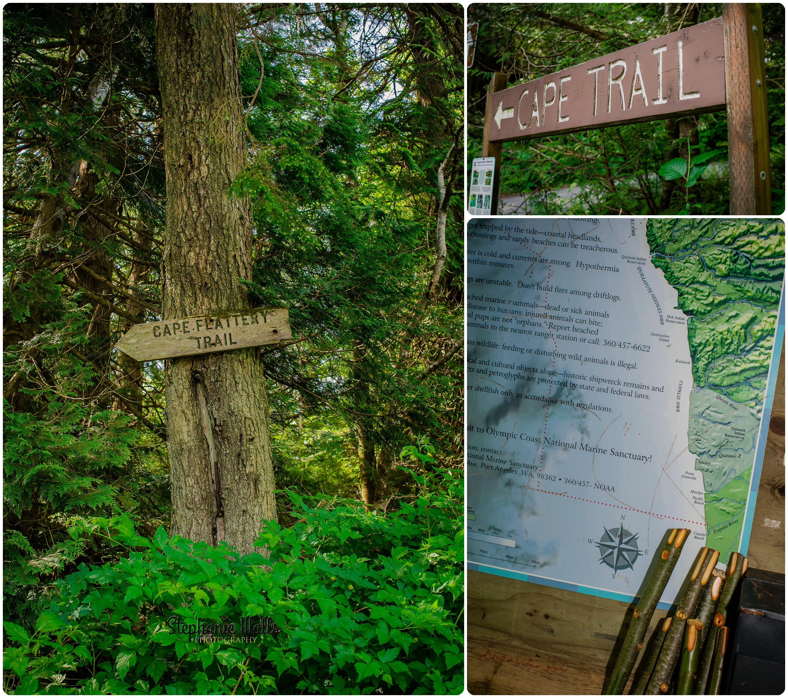 belfour 001 3 INTIMATE CLIFFSIDE ELOPEMENT | CAPE FLATTERY NEAH BAY | STEPHANIE WALLS PHOTOGRAPHY