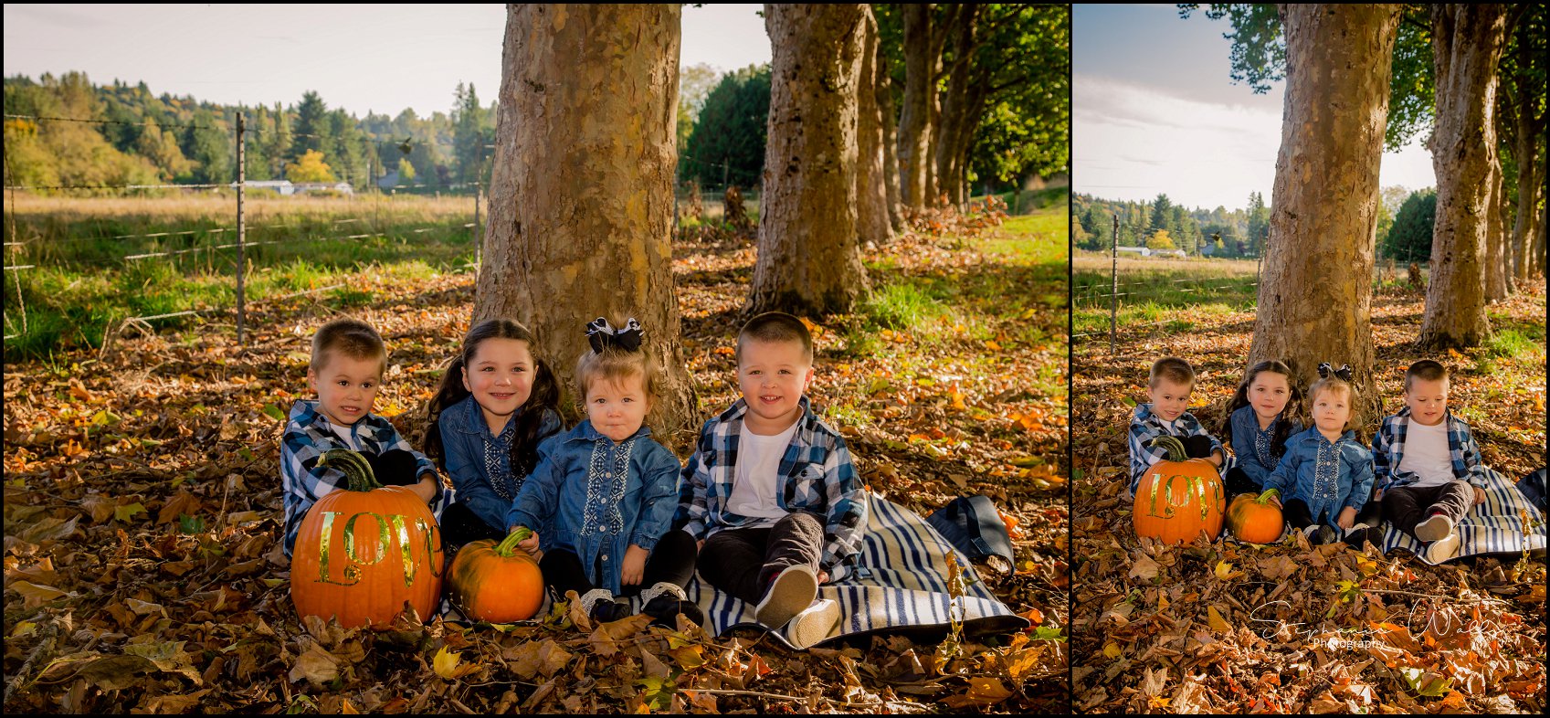 Carlson Grandkids 001 Fall Mini Session in Snohomish, Wa