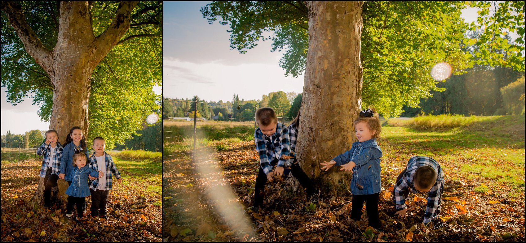 Carlson Grandkids 011 1 Fall Mini Session in Snohomish, Wa