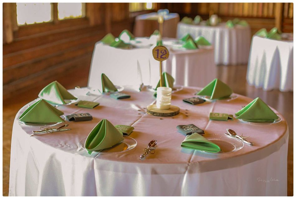 details 060 950x639 Skys the Limit | Kitsap Memorial State Park | Kitsap Wedding Photographer