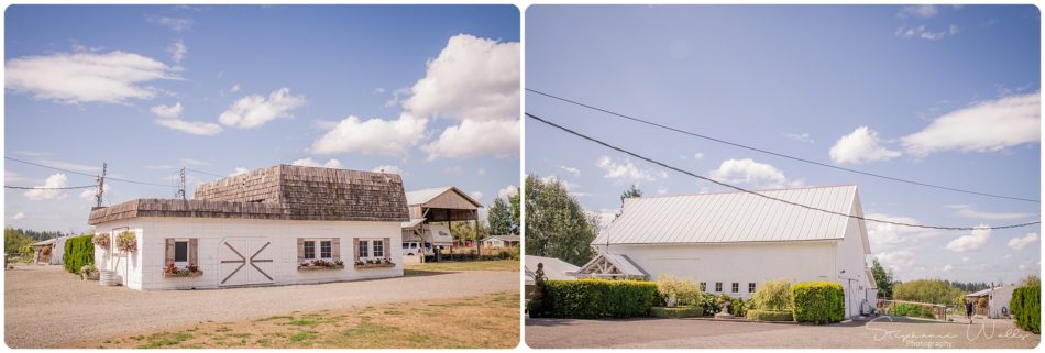 Stephanie Walls Photography 0105 1 950x321 Genesis Farms and Gardens Wedding of Kelli and Quintin