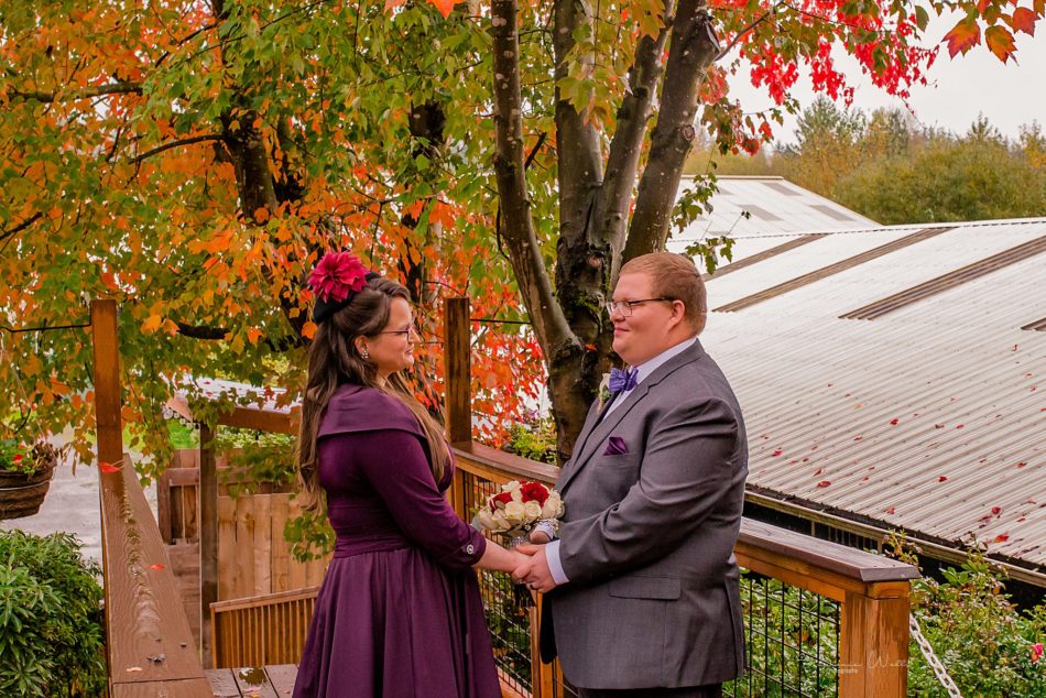 Stephanie Walls Photography 0268 950x634 Barn at Holly Farms Elopement of Kimberly and Mike