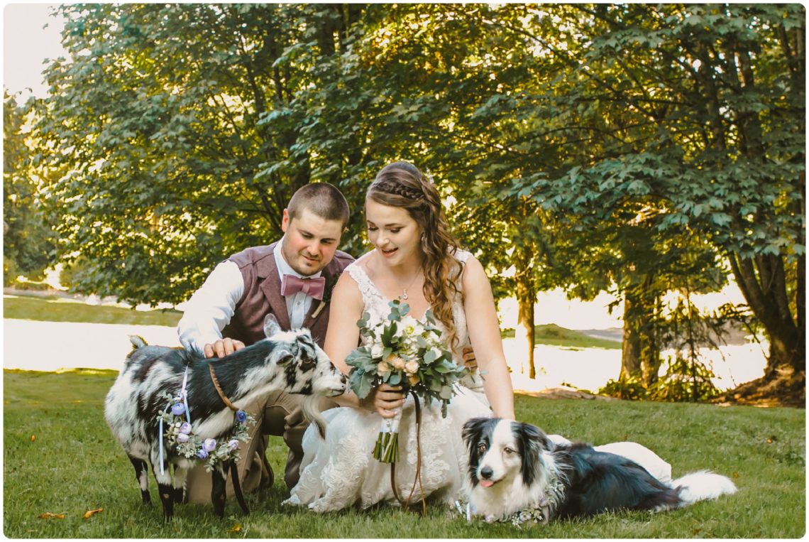 pets at your wedding lookout lodge photographer