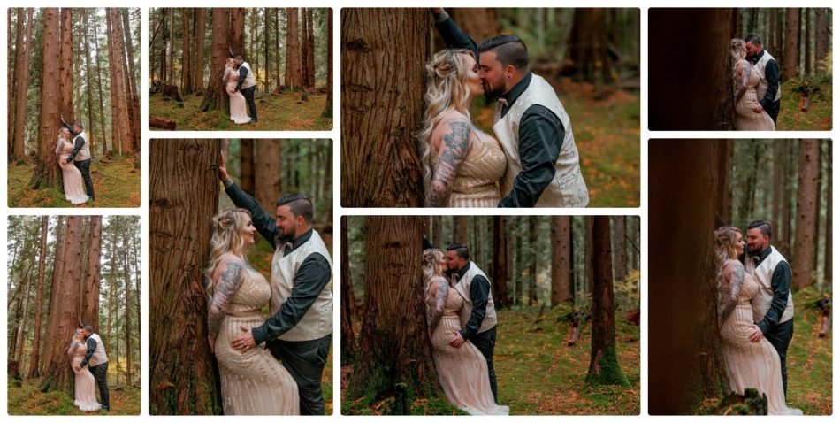 2021 05 22 0032 950x478 The Emerald Forest Elopement | Alicia & Glen