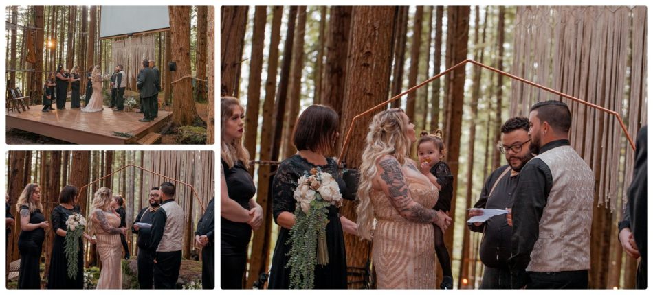 2021 05 22 0037 950x430 The Emerald Forest Elopement | Alicia & Glen