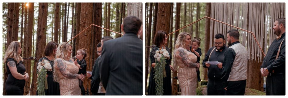 2021 05 22 0038 950x325 The Emerald Forest Elopement | Alicia & Glen