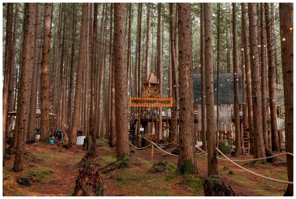 2021 05 22 0052 950x639 The Emerald Forest Elopement | Alicia & Glen