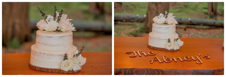 2021 05 22 0062 950x325 The Emerald Forest Elopement | Alicia & Glen