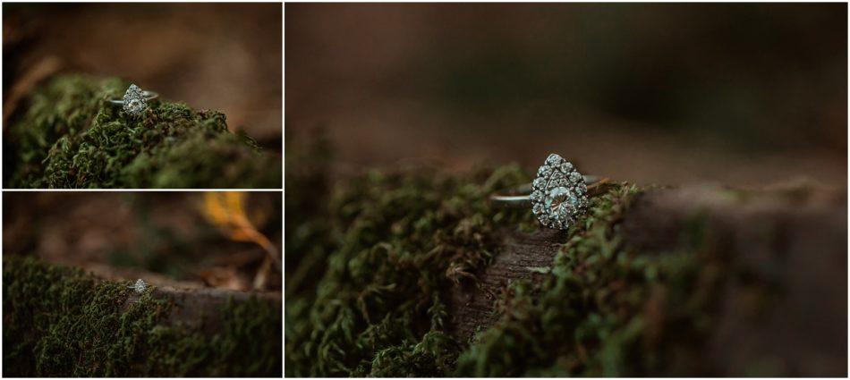 Taylor Broc 114 950x425 Lord Hill Park engagement session