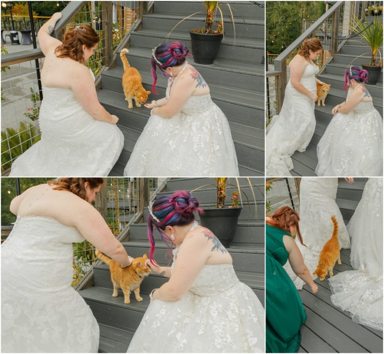 1st Look Bridals 27 758x700 Gray Bridge wedding with a rainbow flag sendoff