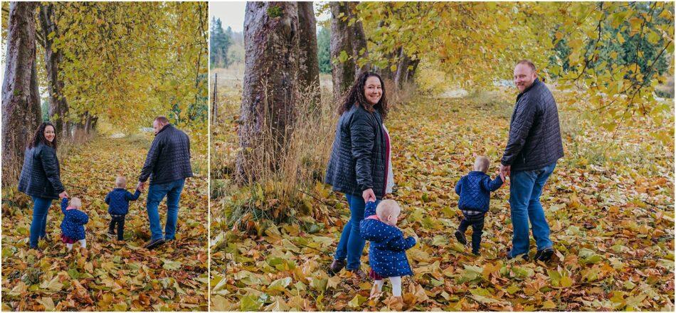 2022 Treeline Fall Minis Snohomish Washington 0113 950x440 2022 Treeline Fall Minis | Snohomish Washington