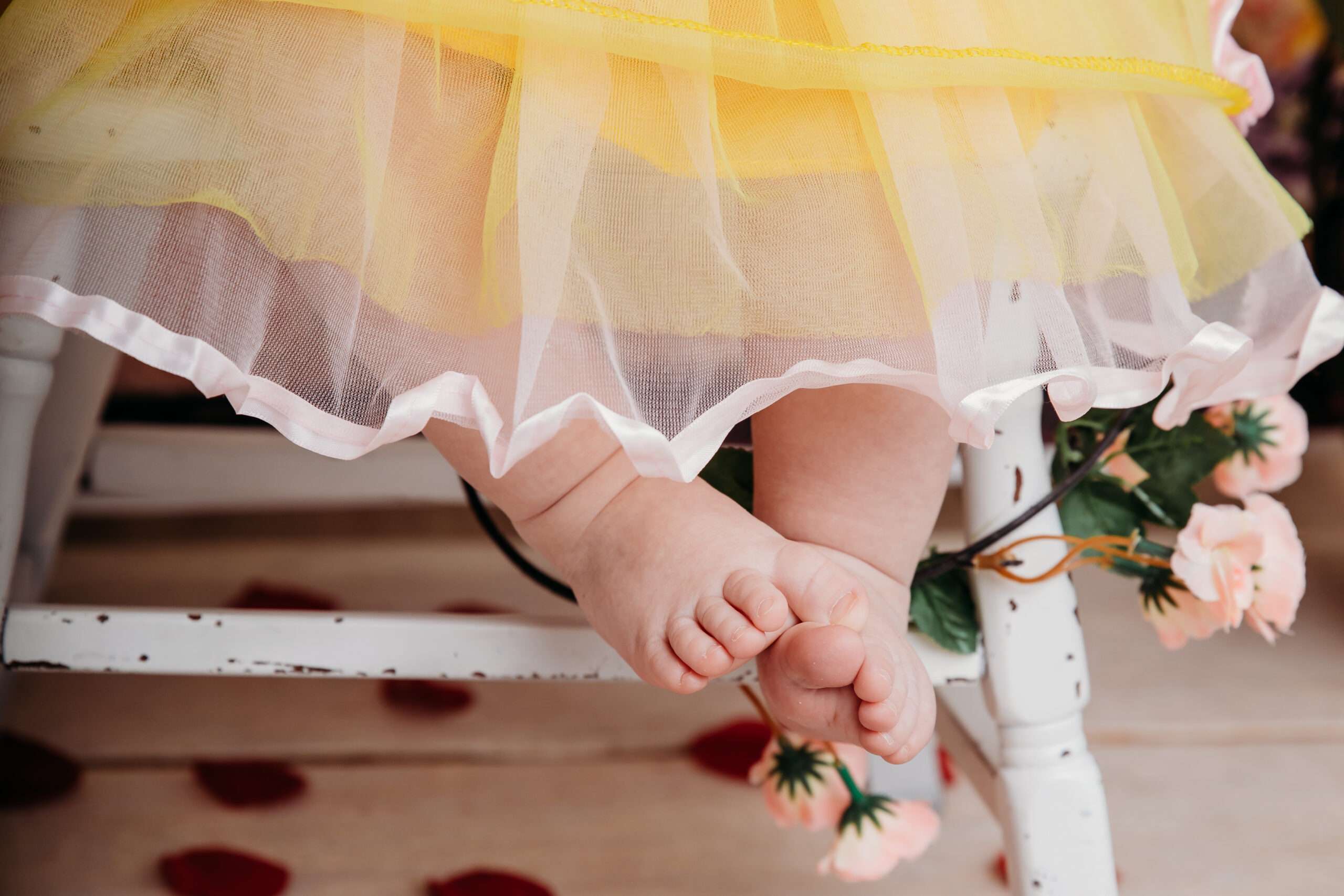 blank Children & Family Portraits