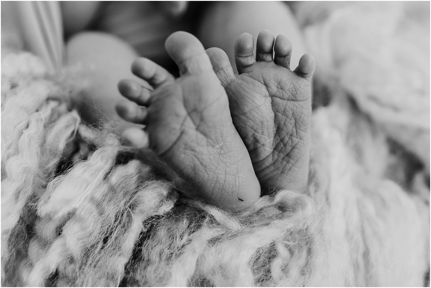 blank Maternity & Newborn Portraits