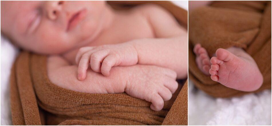 Newborn Photography Everett Baby Boy Photographer 0007 950x440 Newborn Photography Everett | Baby Boy Photographer