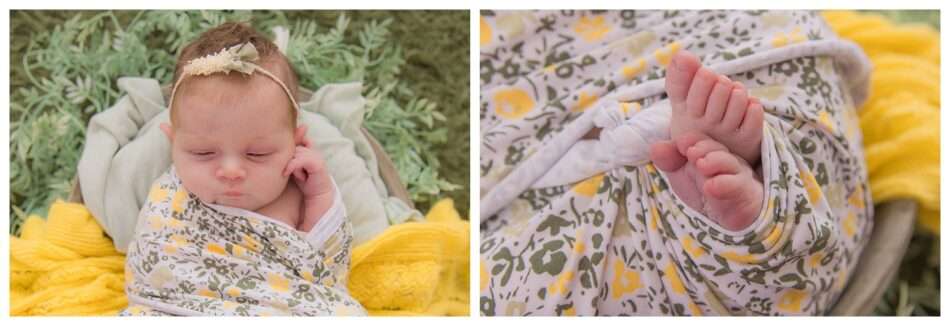 Baby Mabel Everett Newborn Photographer 0007 950x326 Baby Mabel | Everett Newborn Photographer