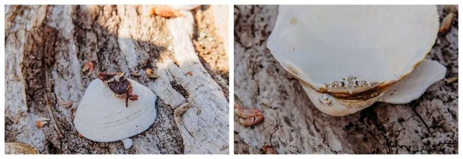 Family Beach Property Kingston Engagement Session Todd Sara 0014 950x326 Family Beach Property Kingston Engagement Session | Todd & Sara