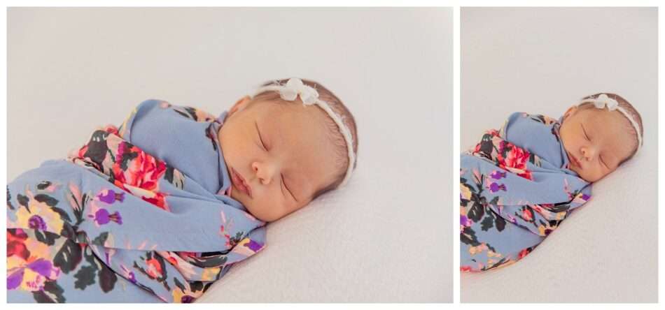 Baby Girl Ellana Everett Studio Newborn Photographer 0016 950x444 Baby Girl Ellana | Everett Studio Newborn Photographer