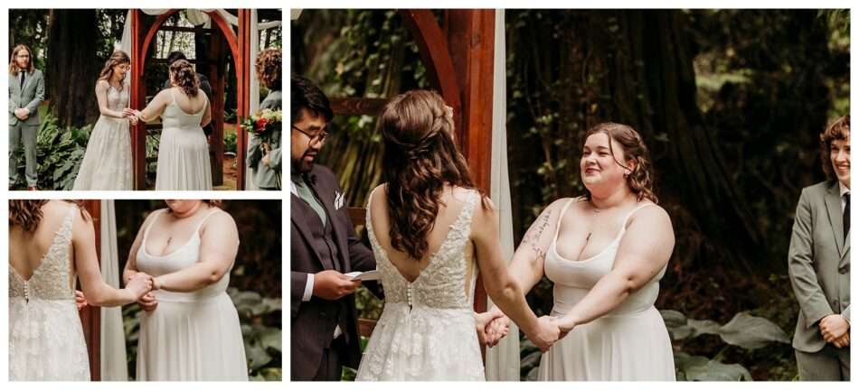 Evergreen Gardens Wedding | Erika + Trisha Evergreen Gardens Wedding Erika Trisha 0021 950x432 Evergreen Gardens Wedding | Erika + Trisha