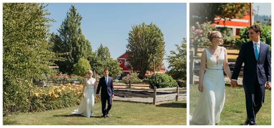 Tractoring Love at Snohomish Stocker Farms Allie Alex 0017 950x444 Tractoring Love at Snohomish Stocker Farms | Allie & Alex