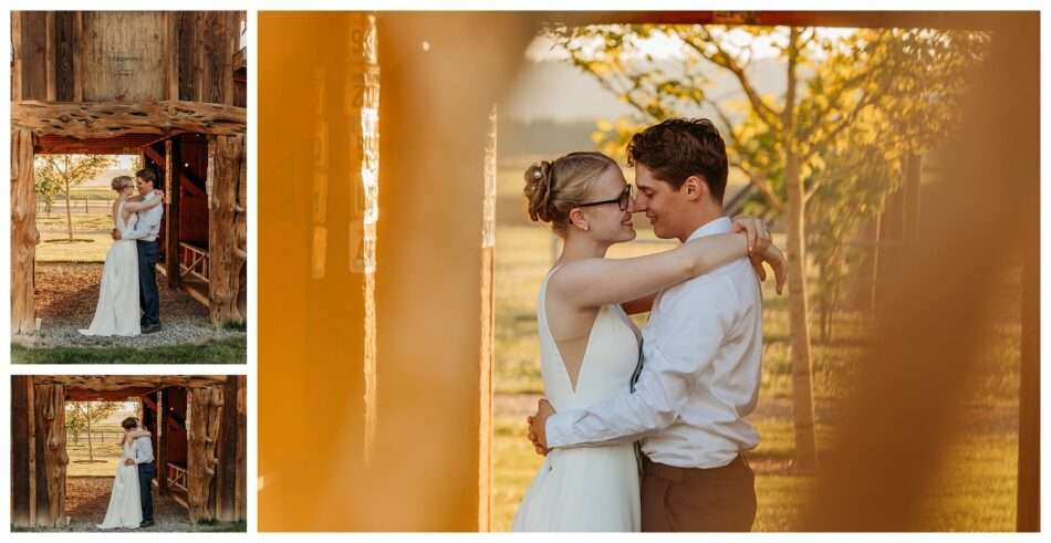 Tractoring Love at Snohomish Stocker Farms Allie Alex 0027 950x491 Tractoring Love at Snohomish Stocker Farms | Allie & Alex