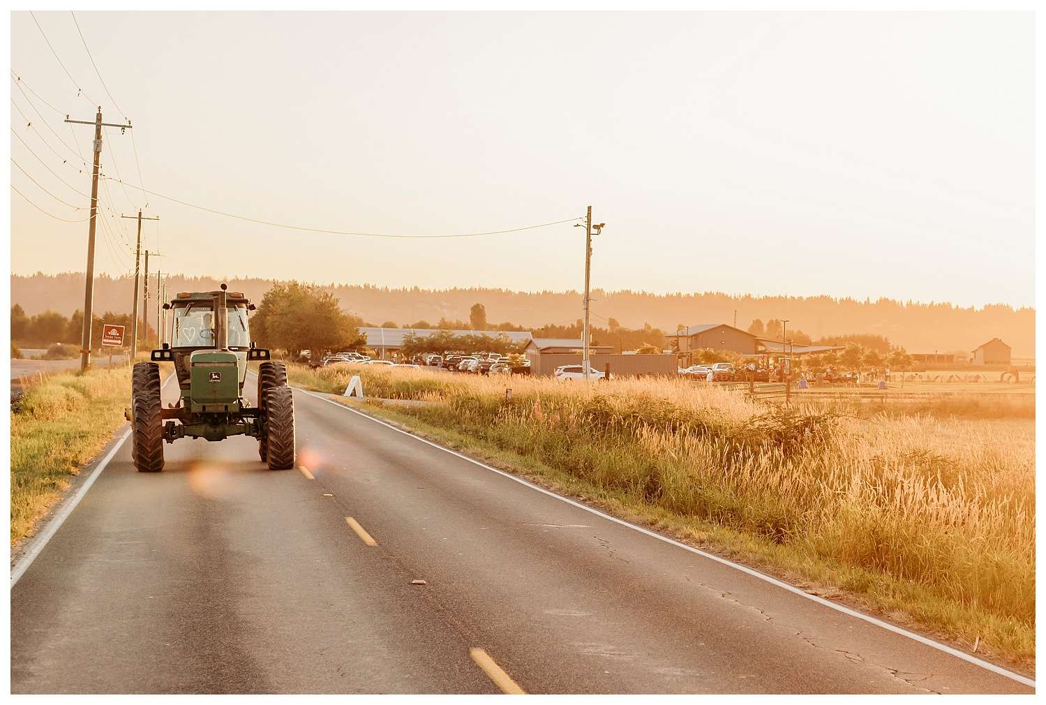 This beautiful photo captures the essence of “Tractoring Love” perfectly — a romantic and rustic scene featuring a tractor driving into the golden sunset, likely after Allie and Alex’s wedding celebration at Snohomish Stocker Farms. The soft amber lighting, wide country road, and heart shapes on the rear window of the tractor create a dreamy, heartfelt moment that blends country charm with love’s quiet joy. If you'd like, I can help turn this image into a keepsake design, like a wedding thank-you card or personalized print.