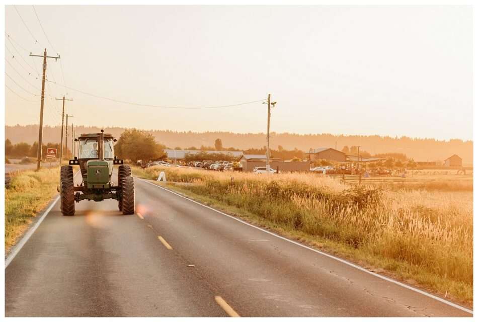 Tractoring Love at Snohomish Stocker Farms Allie Alex 0052 950x640 Tractoring Love at Snohomish Stocker Farms | Allie & Alex