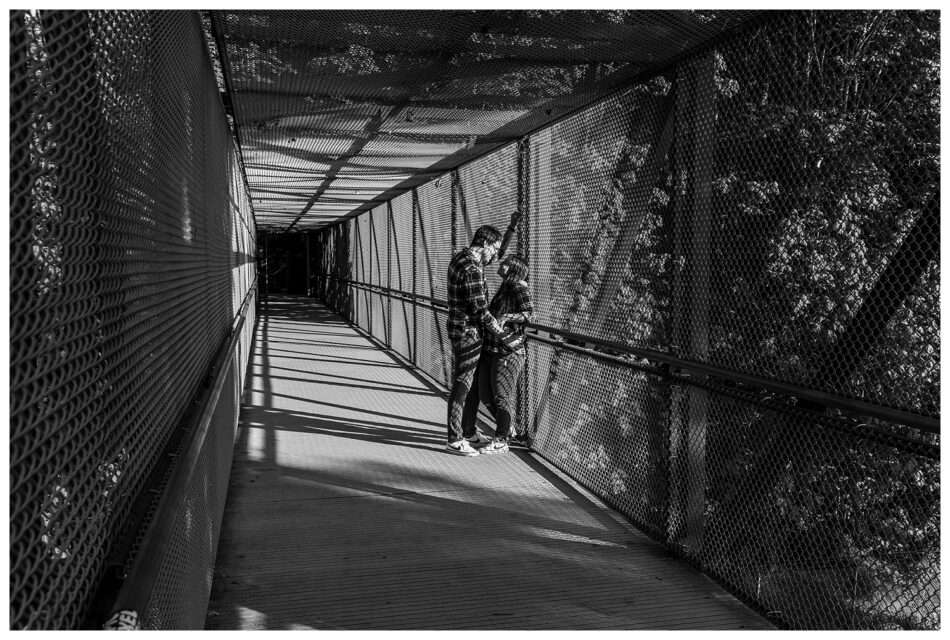 A Sunset Engagement at Howarth Park | Everett, WA A Sunset Engagement at Howarth Park Everett WA 0009 950x640 A Sunset Engagement at Howarth Park | Everett, WA