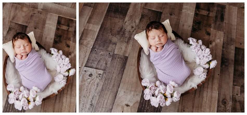 Baby Jocelyn | 3 Week Old Newborn Session | Steelers Football Theme in Downtown Everett Baby Jocelyn 3 Week Old Newborn Session Steelers Football Theme in Downtown Everett 0011 950x444 Baby Jocelyn | 3 Week Old Newborn Session | Steelers Football Theme in Downtown Everett