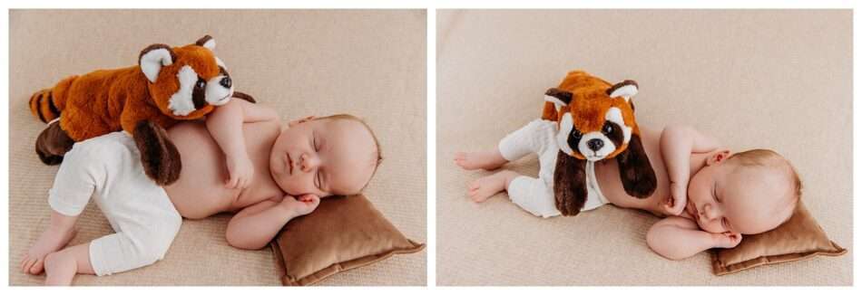 Lachlan’s Mini Newborn Session | Downtown Everett Studio Lachlans Mini Newborn Session Downtown Everett Studio 0008 950x326 Lachlan’s Mini Newborn Session | Downtown Everett Studio
