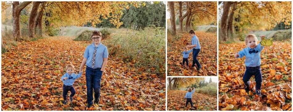 Fall Treeline Minis in Snohomish | Golden Leaves, Family Fun & Timeless Photos Fall Treeline Minis in Snohomish Golden Leaves Family Fun Timeless Photos 0007 950x364 Fall Treeline Minis in Snohomish | Golden Leaves, Family Fun & Timeless Photos