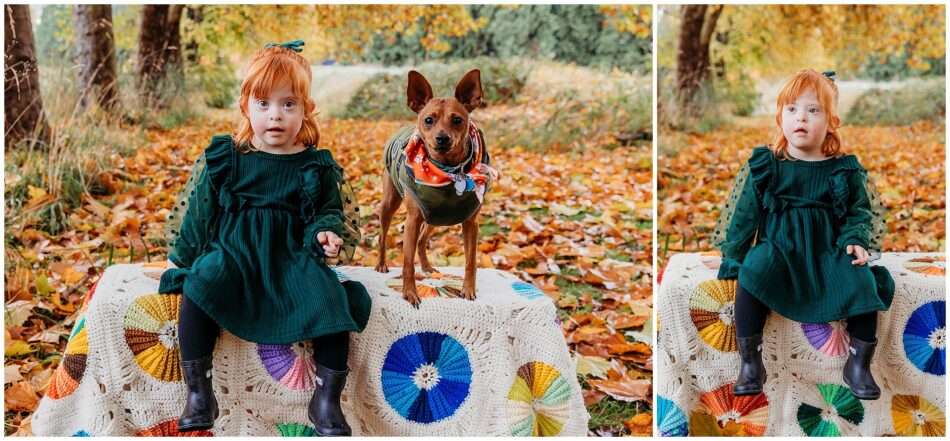 Fall Treeline Minis in Snohomish | Golden Leaves, Family Fun & Timeless Photos Fall Treeline Minis in Snohomish Golden Leaves Family Fun Timeless Photos 0010 950x441 Fall Treeline Minis in Snohomish | Golden Leaves, Family Fun & Timeless Photos