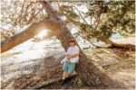 High school senior leaning against a curved tree at Denny Park during golden hour with sunlight shining through branches by the water
