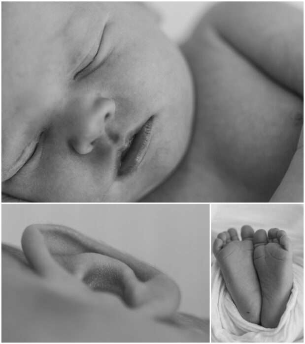 Poppy’s Newborn Session | A Cozy Fall, Boho & Halloween Inspired Family Story in Downtown Everett Poppys Newborn Session A Cozy Fall Boho Halloween Inspired Family Story in Downtown Everett 0016 619x700 Poppy’s Newborn Session | A Cozy Fall, Boho & Halloween Inspired Family Story in Downtown Everett