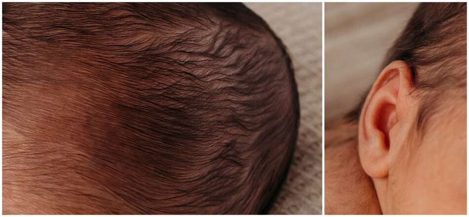 Silass Newborn Session A Green Inspired Portrait in Downtown Everett 0005 950x441 Silas’s Newborn Session | A Green Inspired Portrait in Downtown Everett