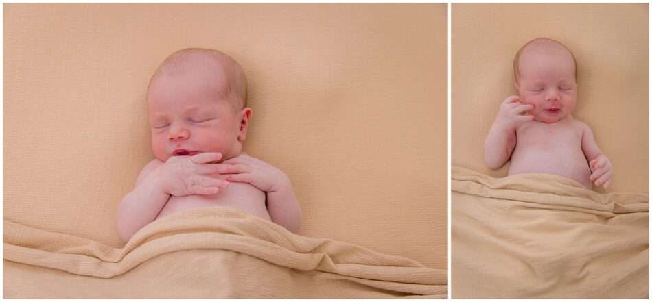 Welcome to the Crew Cooper A Newborn Session Full of Love Adventure 0018 950x441 Welcome to the Crew, Cooper: A Newborn Session Full of Love & Adventure